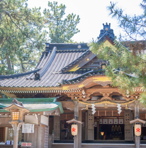 {{brizy_dc_image_alt entityId=