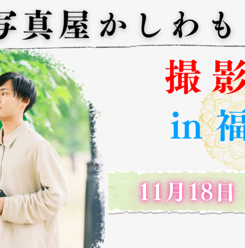 写真屋かしわもち